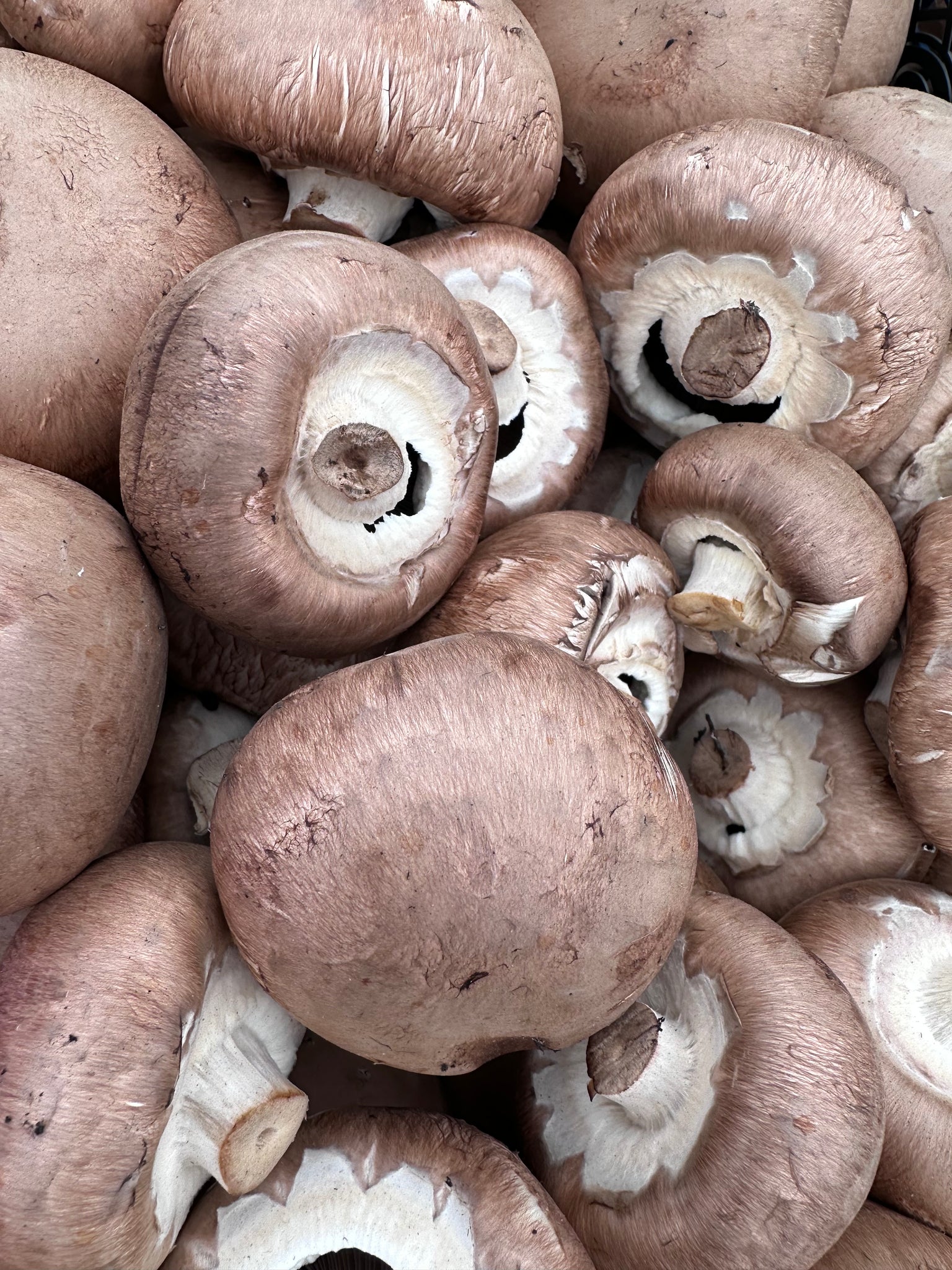 Sunday Supper club - The Nourishing Power of Mushrooms